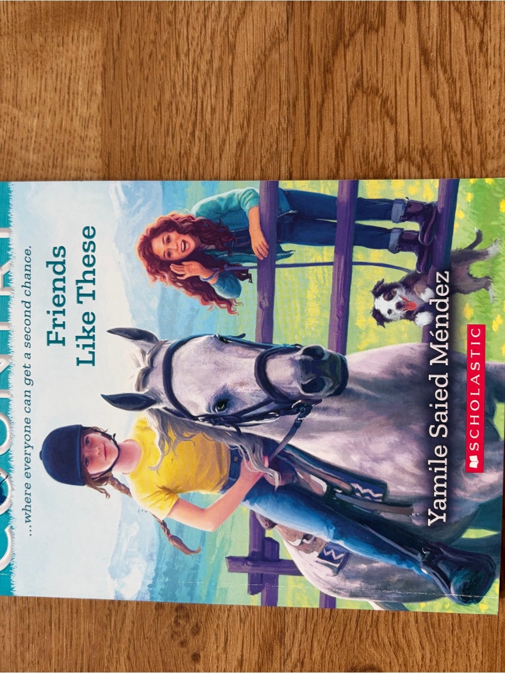 Scholastic — Yellow & Blue Illustrated Horse Rider Cover
